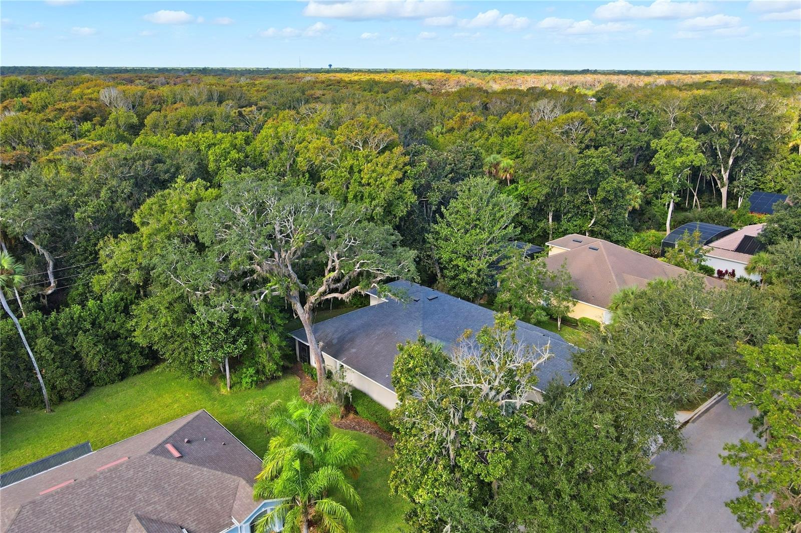 Image 61 of 64 For 9 Creekside Drive