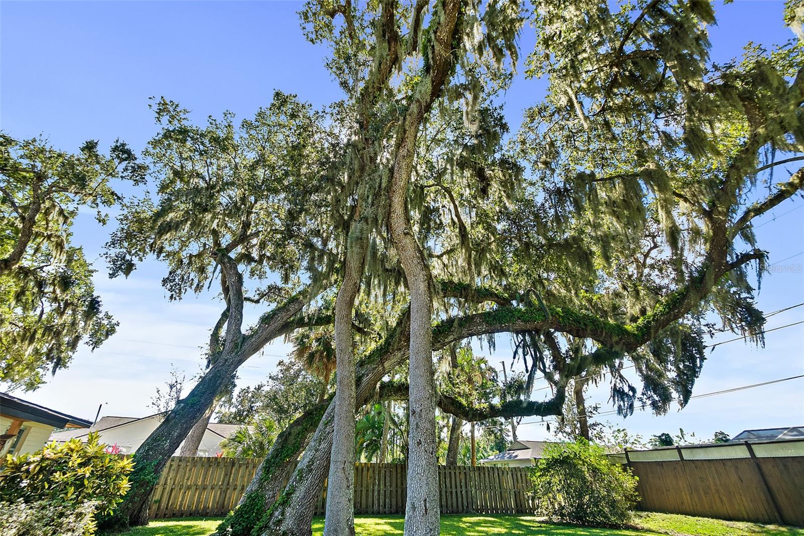 Image 23 of 28 For 1822 Mango Tree Drive