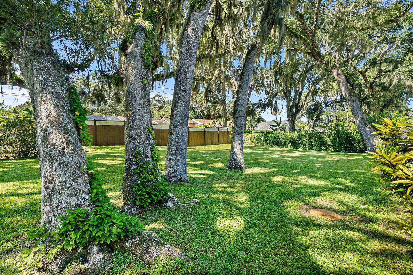 Image 24 of 28 For 1822 Mango Tree Drive