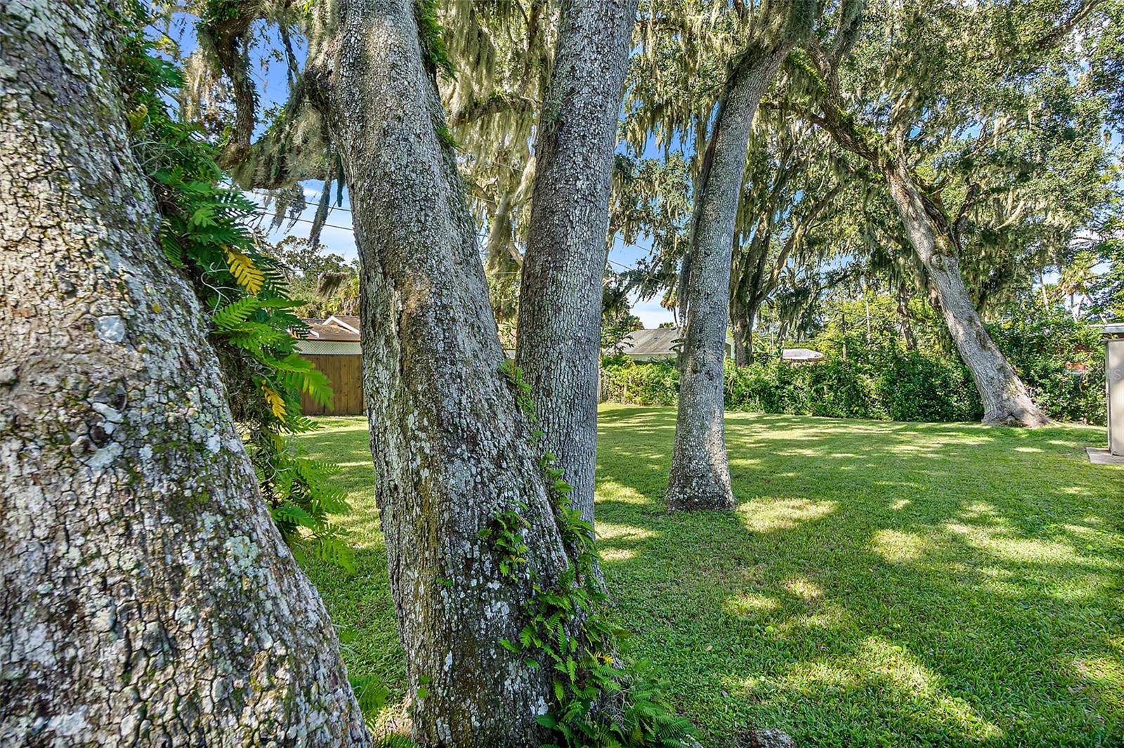 Image 25 of 28 For 1822 Mango Tree Drive