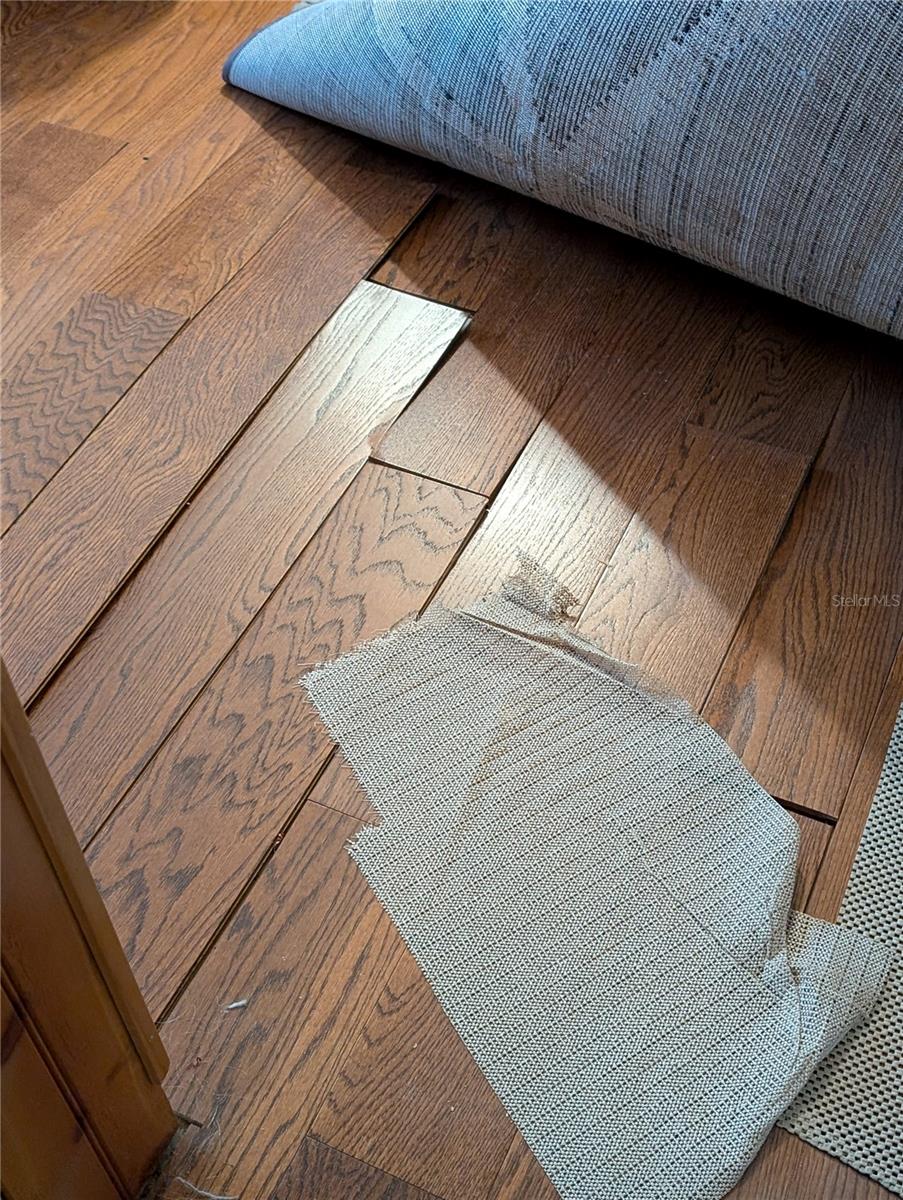 Image 26 of 46 For 9860 Nikolich Avenue