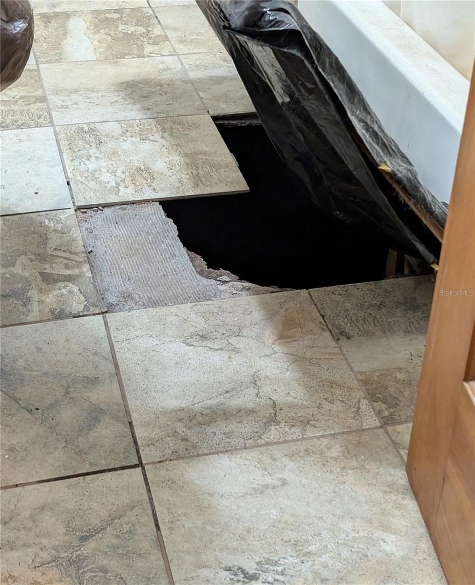 Image 32 of 46 For 9860 Nikolich Avenue