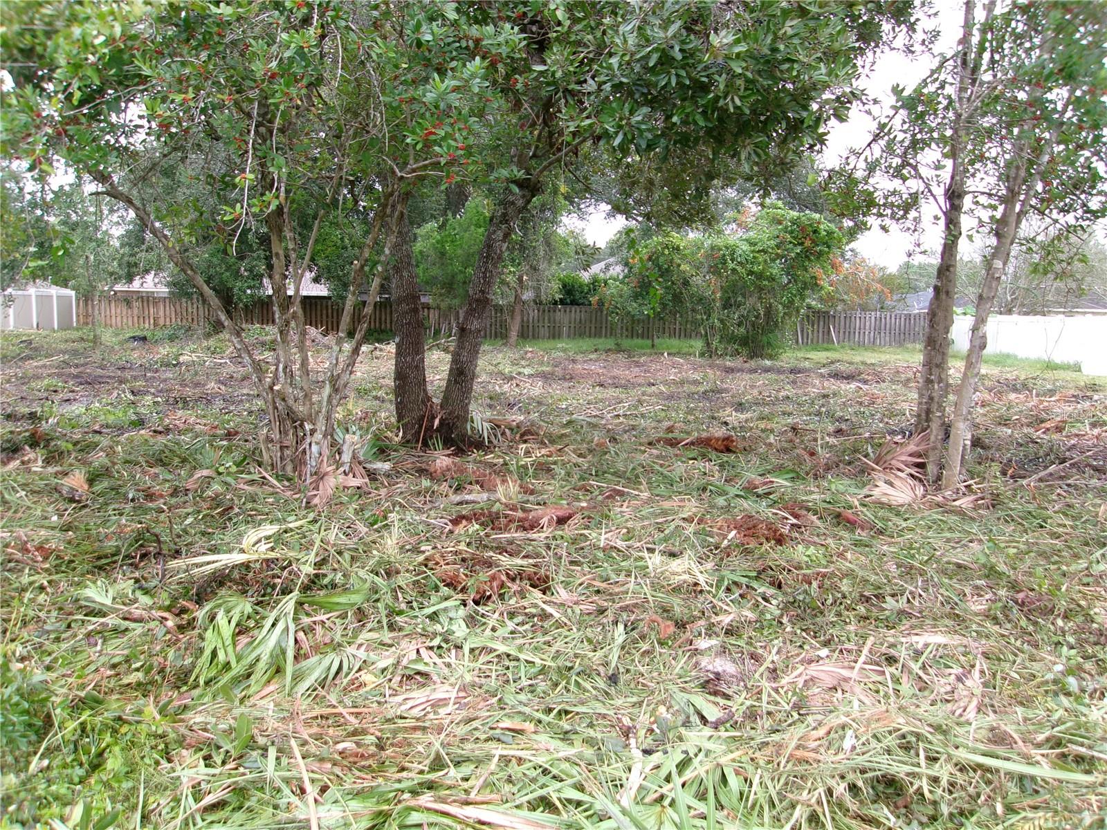 Image 3 of 4 For 24 Lysander Lane