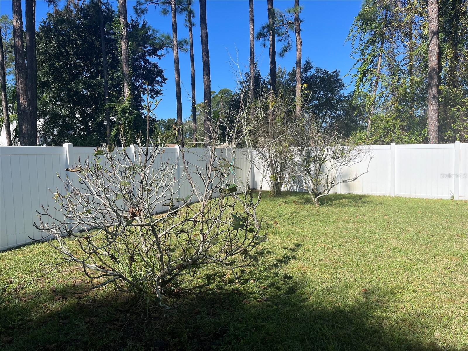 Image 10 of 10 For 12 Ripton Place