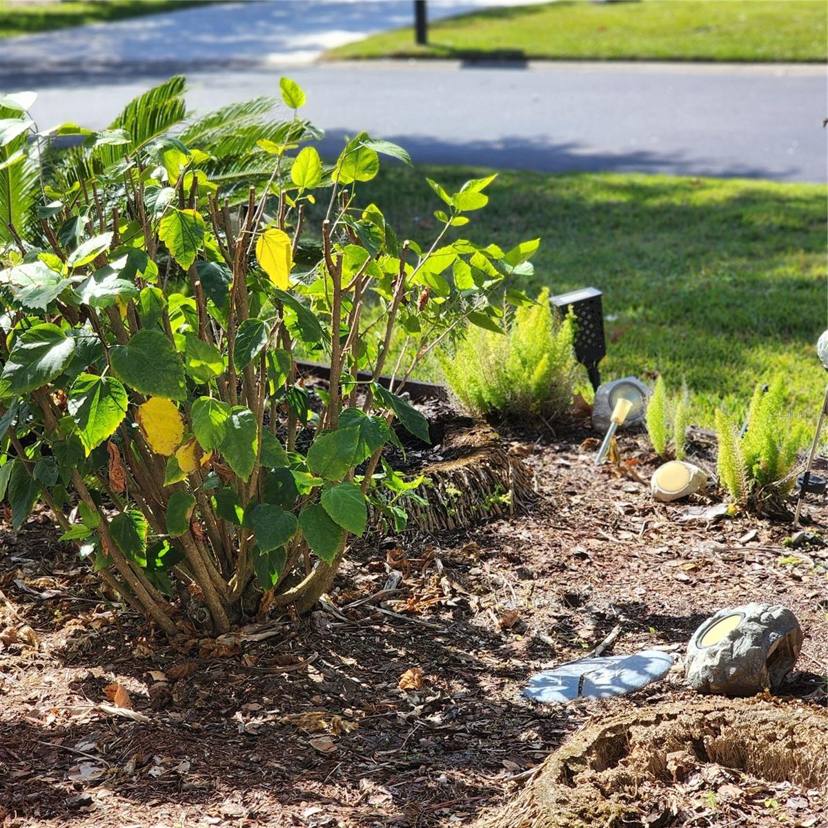 Image 31 of 40 For 107 Raintree Circle