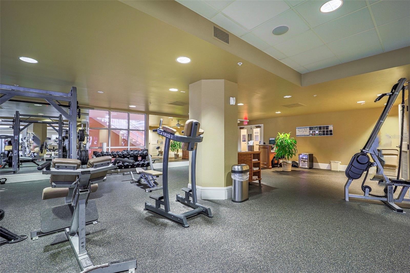 Image 59 of 64 For 9 Ibis Court S