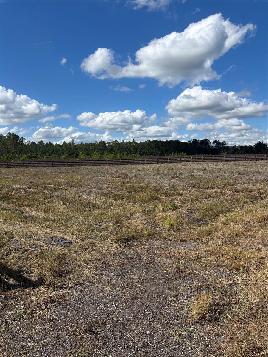 Image 3 of 26 For 407 County Road 13 #2