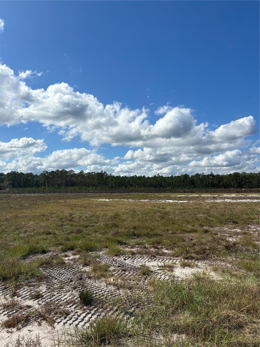 Image 7 of 26 For 407 County Road 13 #2