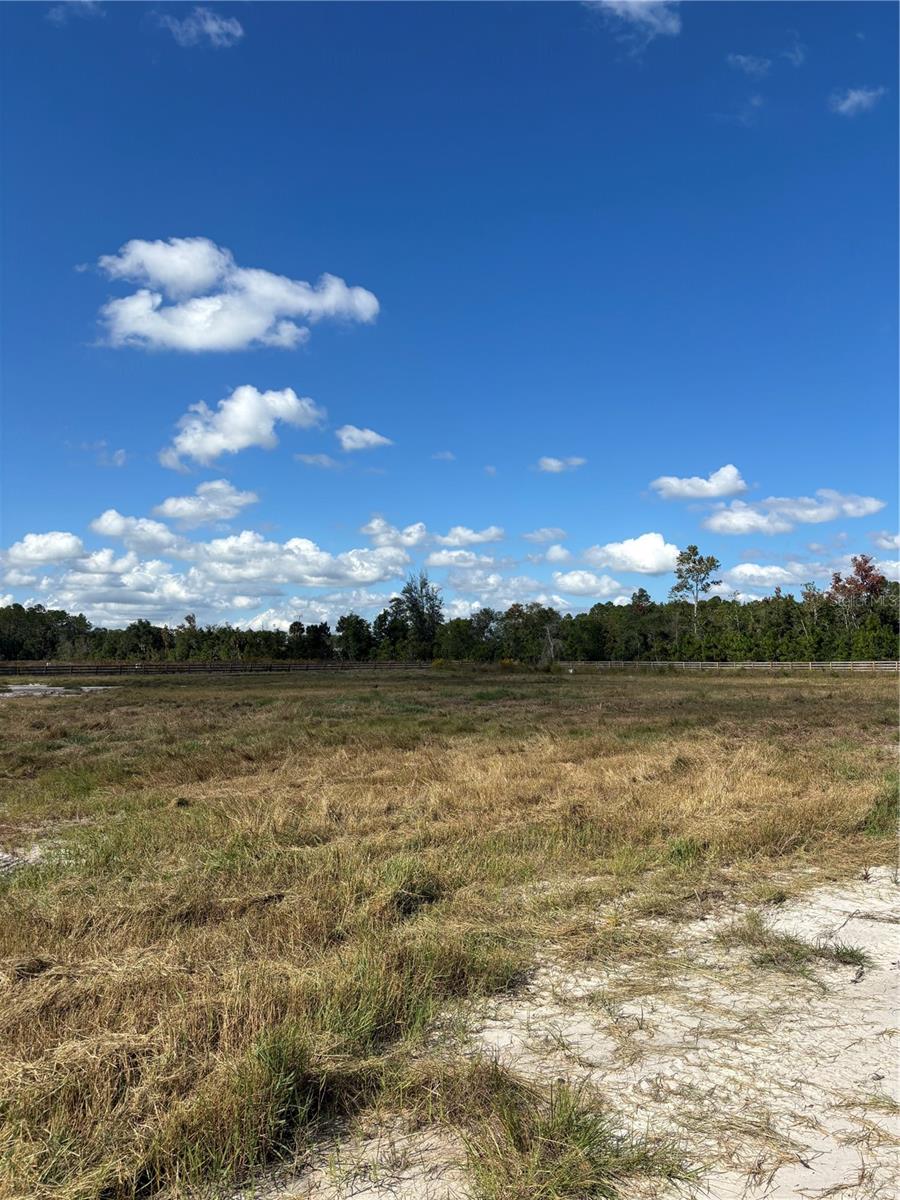 Image 8 of 26 For 407 County Road 13 #2