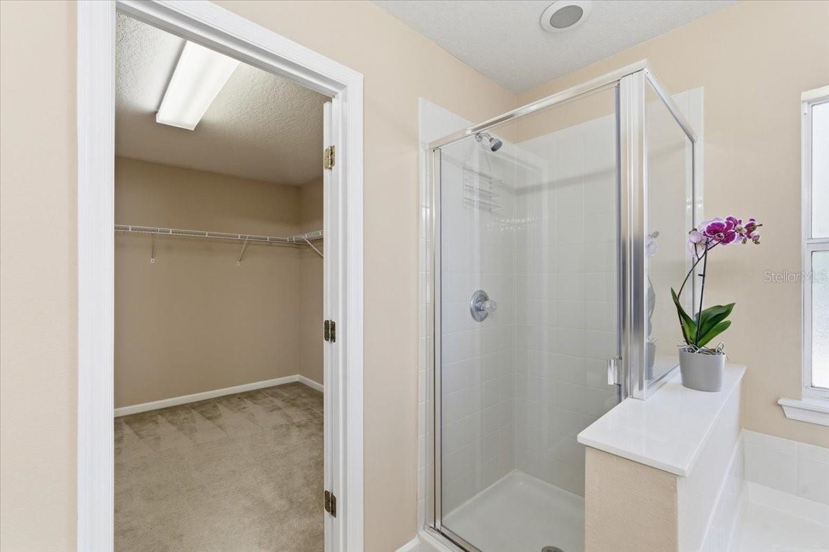 Image 32 of 62 For 29 Louisville Drive