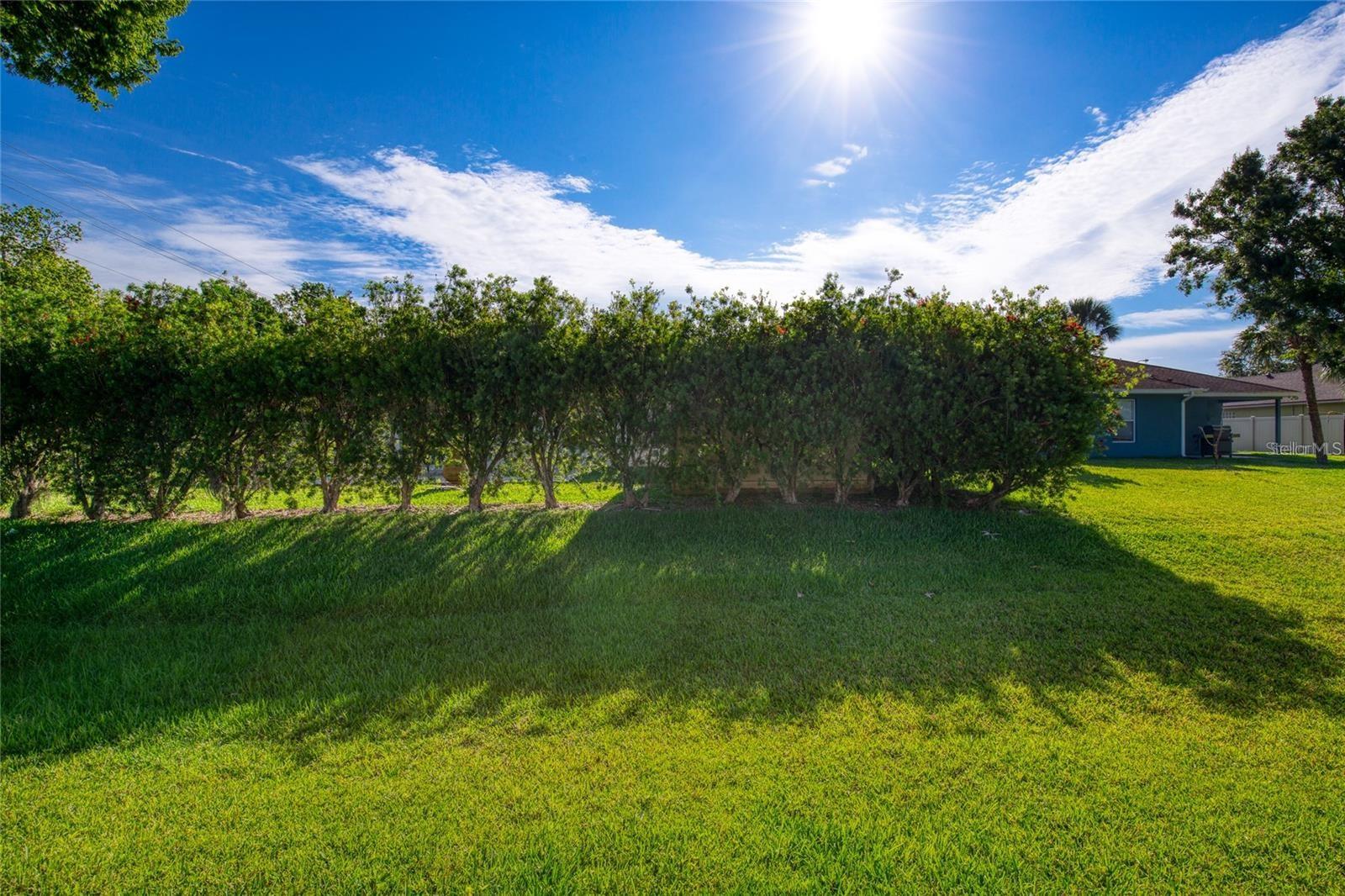 Image 34 of 50 For 815 8th Street