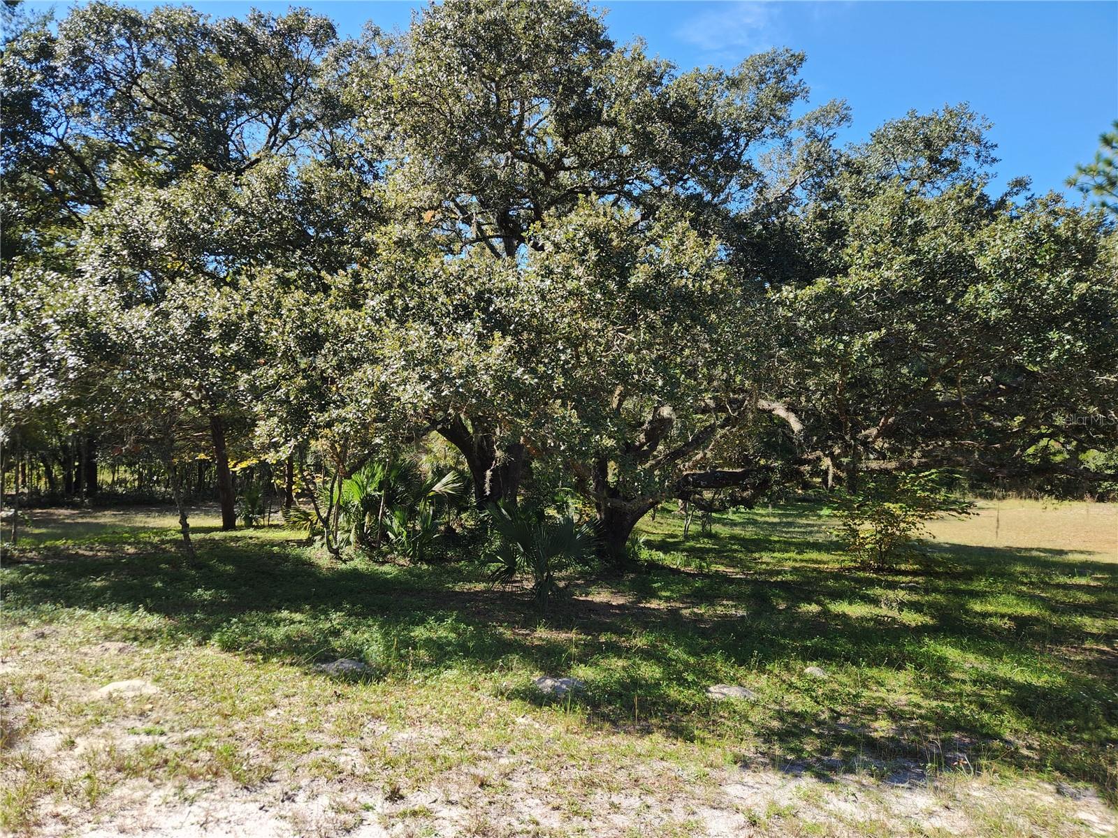 Image 10 of 19 For 0000 Roos Lane