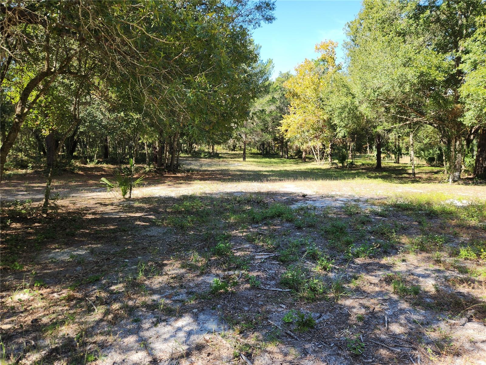 Image 13 of 19 For 0000 Roos Lane