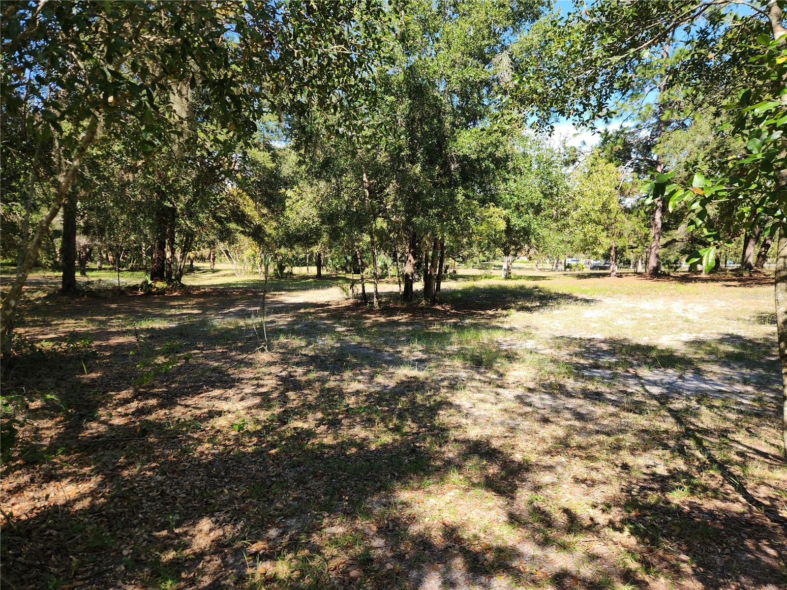 Image 14 of 19 For 0000 Roos Lane