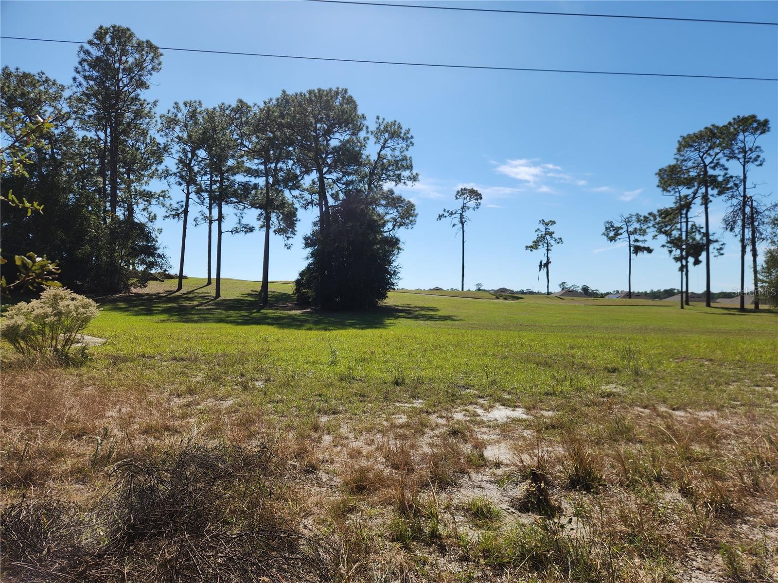 Image 16 of 19 For 0000 Roos Lane