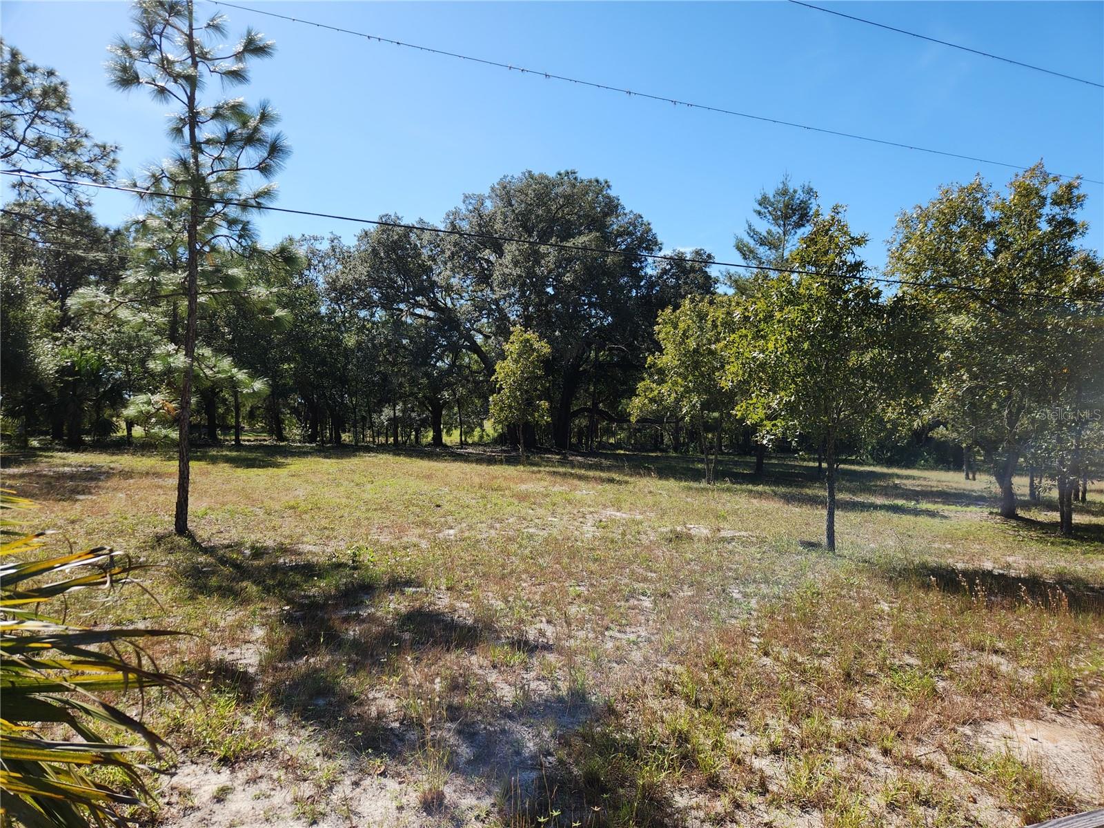 Image 3 of 19 For 0000 Roos Lane