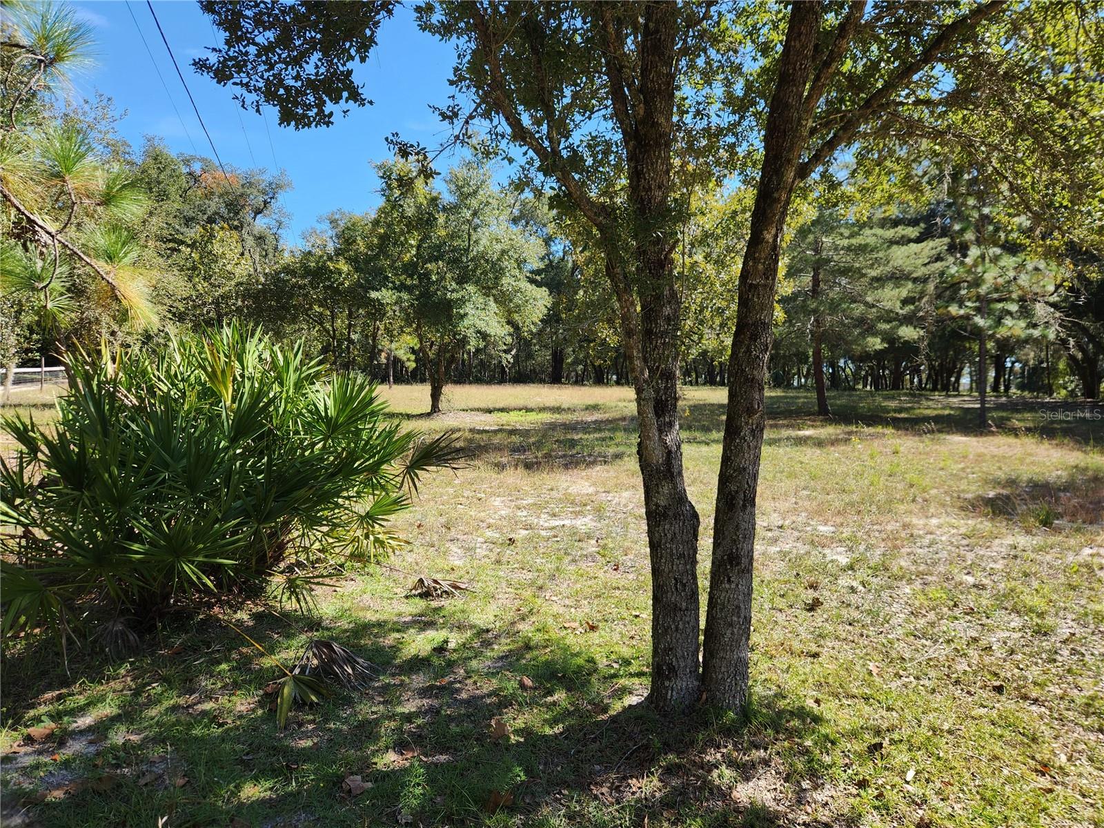 Image 7 of 19 For 0000 Roos Lane