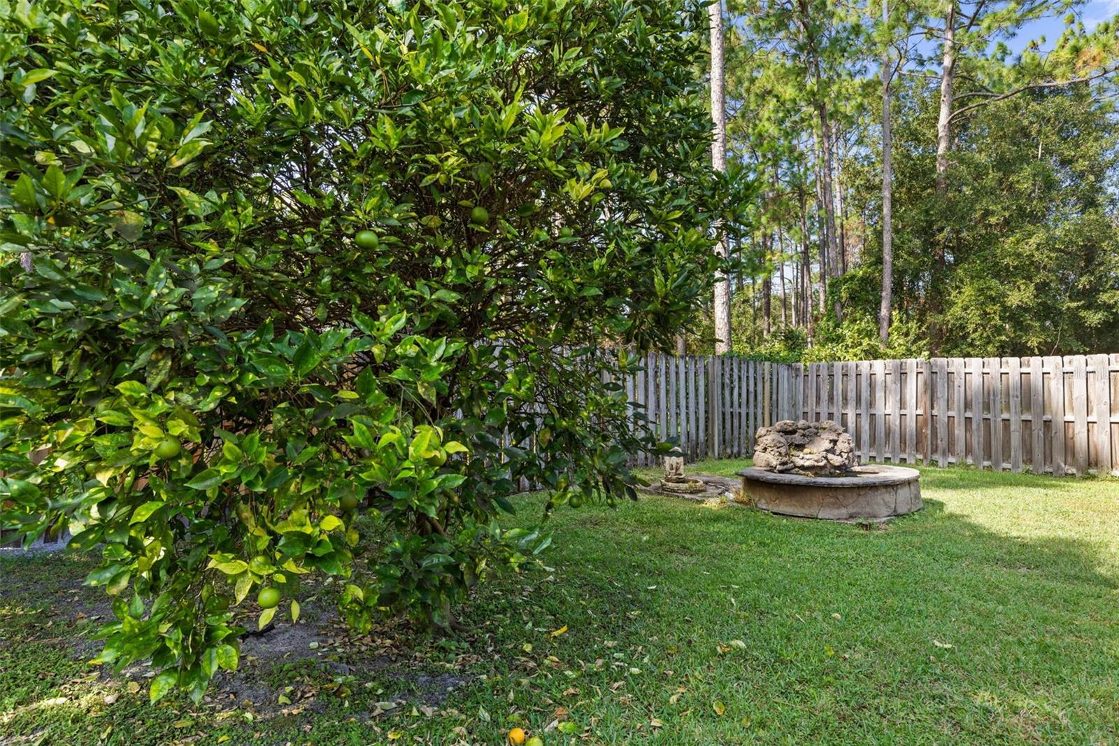 Image 62 of 77 For 54 Fairbank Lane