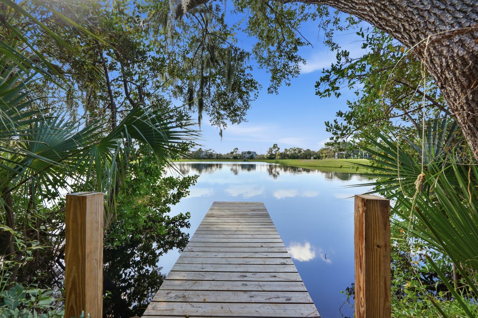 Image 2 of 34 For 464 Palmetto Street