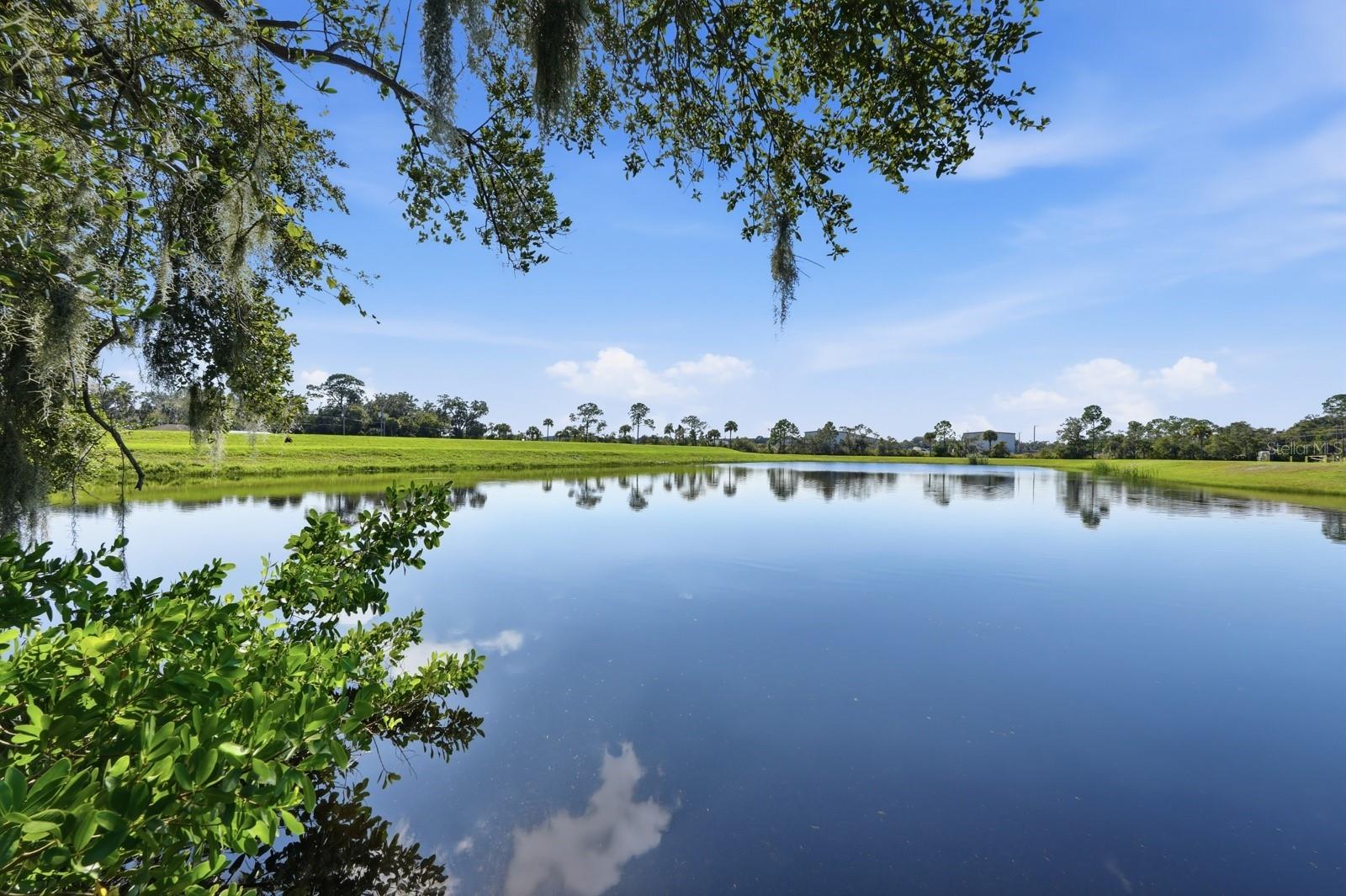 Image 29 of 34 For 464 Palmetto Street