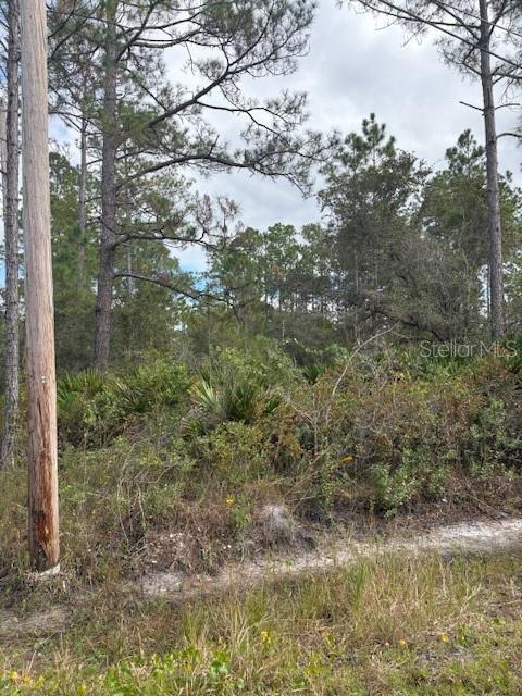 Image 10 of 14 For 2311 Beech Boulevard