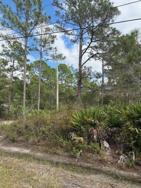 Image 11 of 14 For 2311 Beech Boulevard