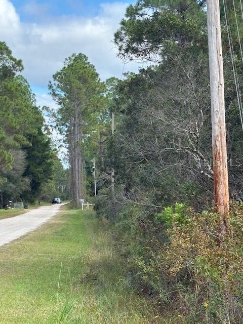 Image 6 of 14 For 2311 Beech Boulevard