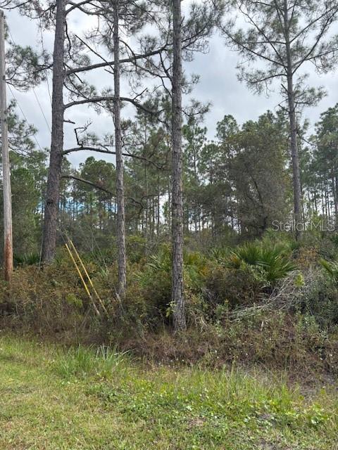 Image 7 of 14 For 2311 Beech Boulevard