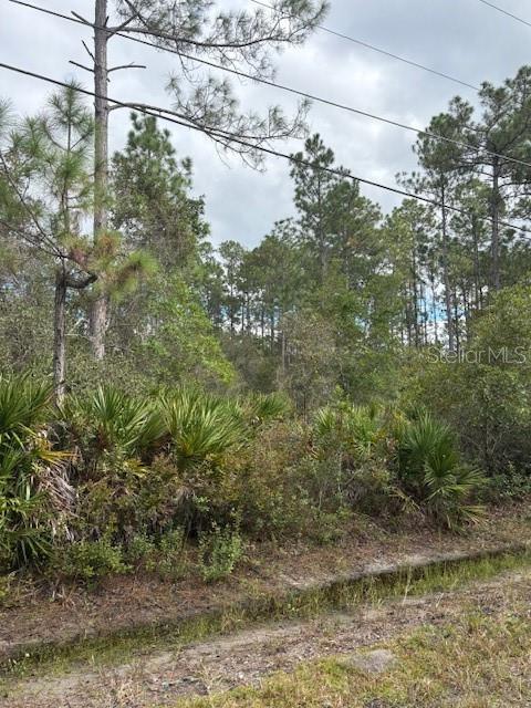 Image 8 of 14 For 2311 Beech Boulevard