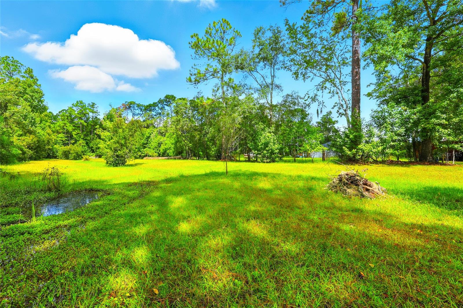 Image 38 of 60 For 4485 Sr 16  