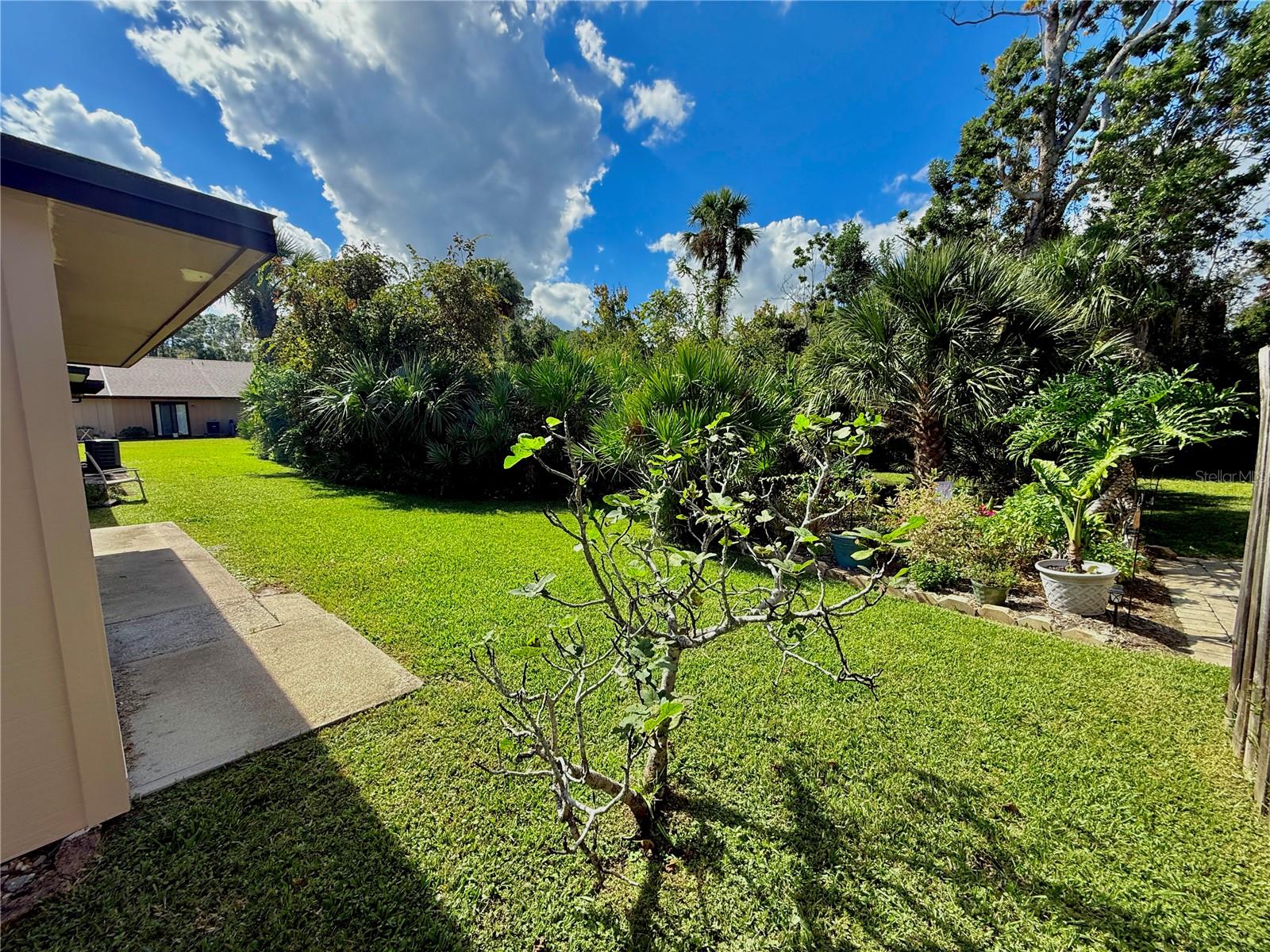 Image 66 of 85 For 38 Village Drive