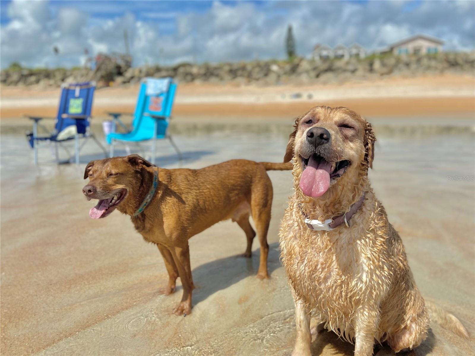 Image 84 of 85 For 38 Village Drive