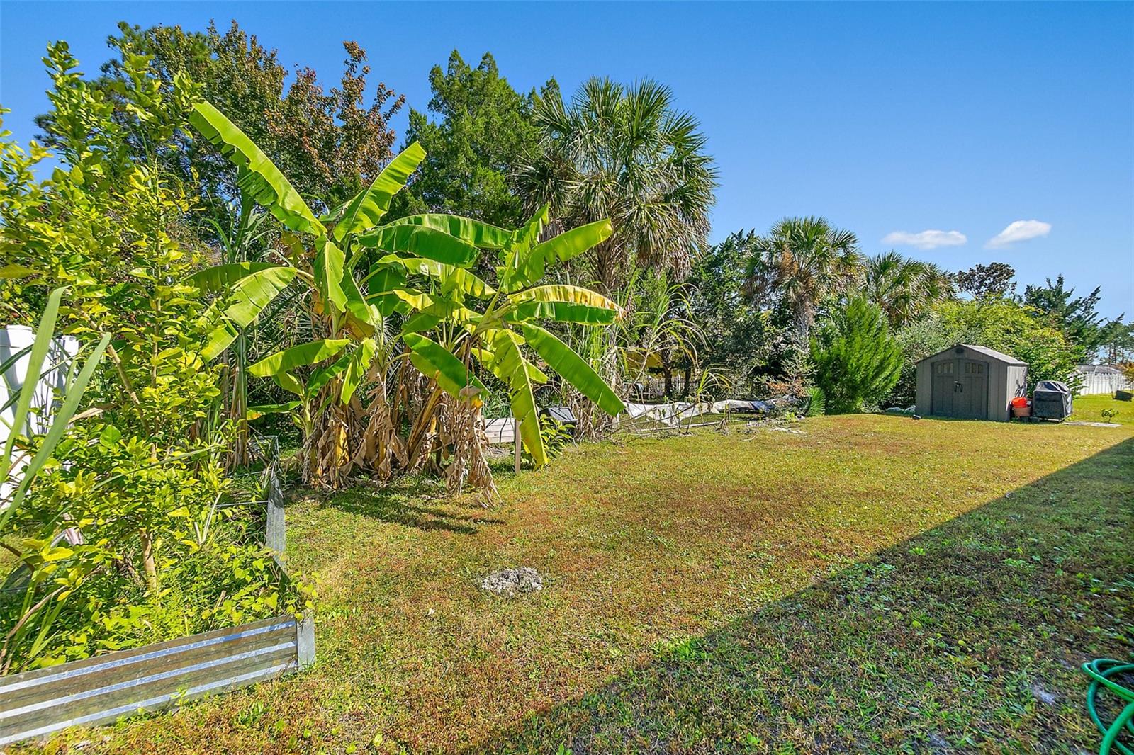 Image 44 of 46 For 3 Llacer Place