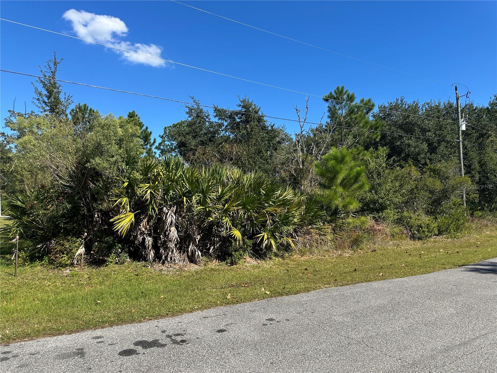 Image 2 of 4 For 37 Louisiana Drive