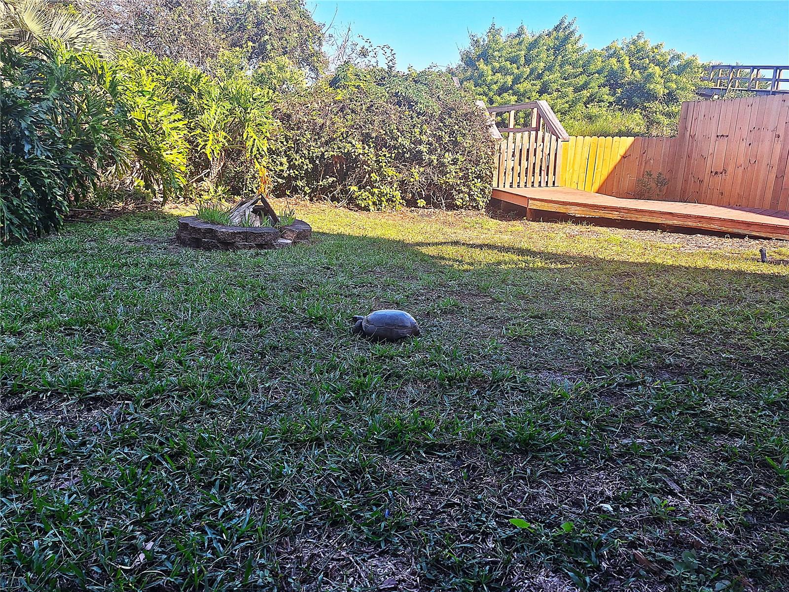 Image 82 of 100 For 5336 Atlantic View