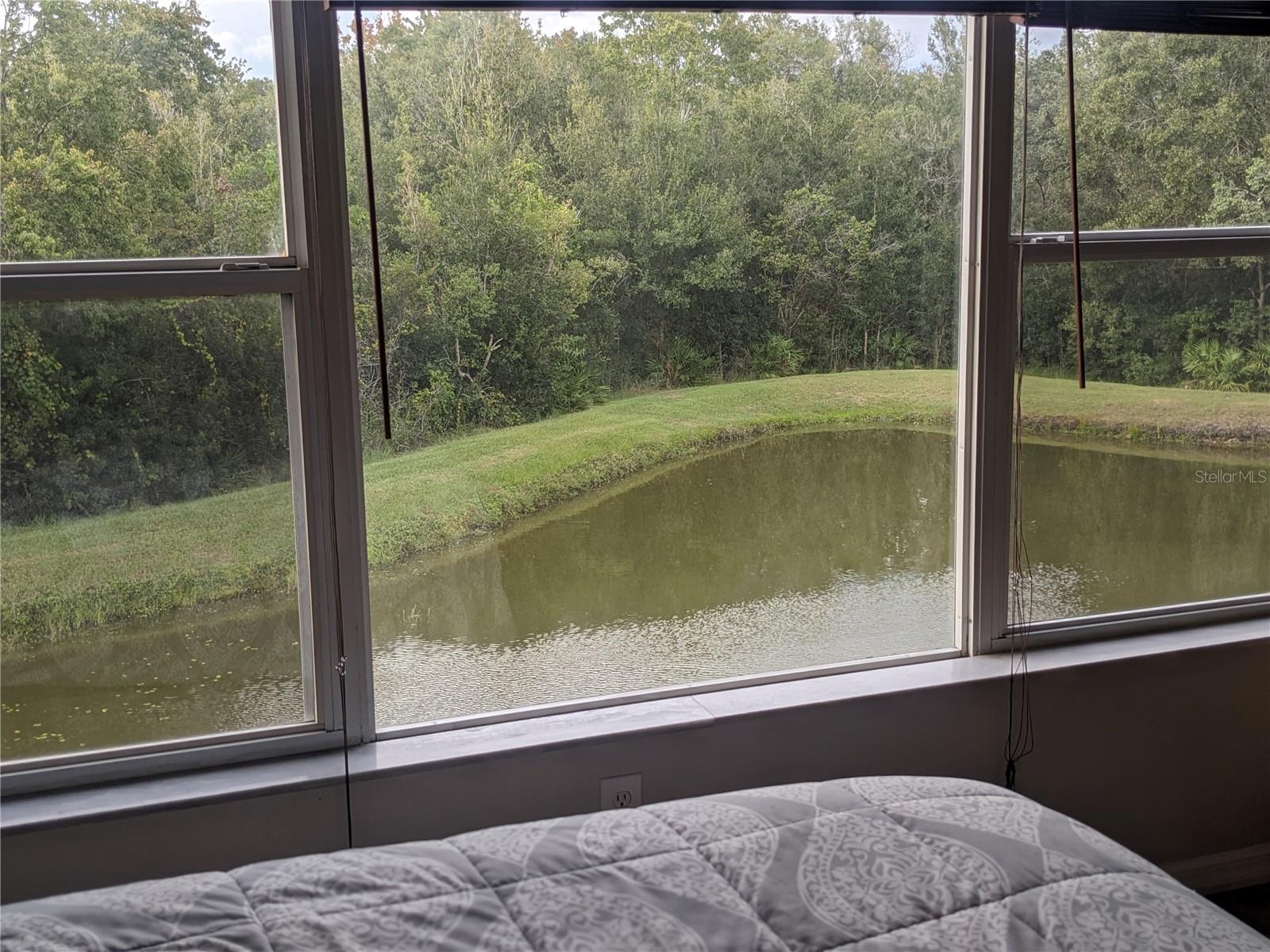 Image 21 of 28 For 10005 Tranquility Way