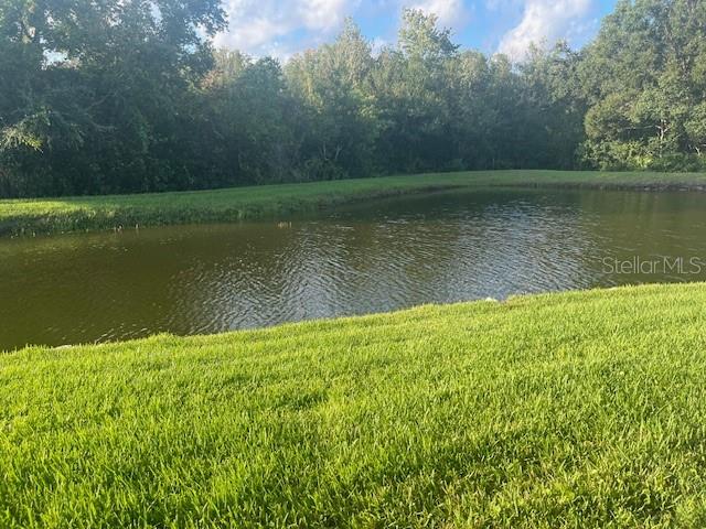 Image 9 of 28 For 10005 Tranquility Way