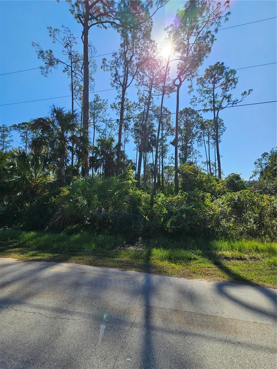 Details for 6 Poindexter Lane, PALM COAST, FL 32164