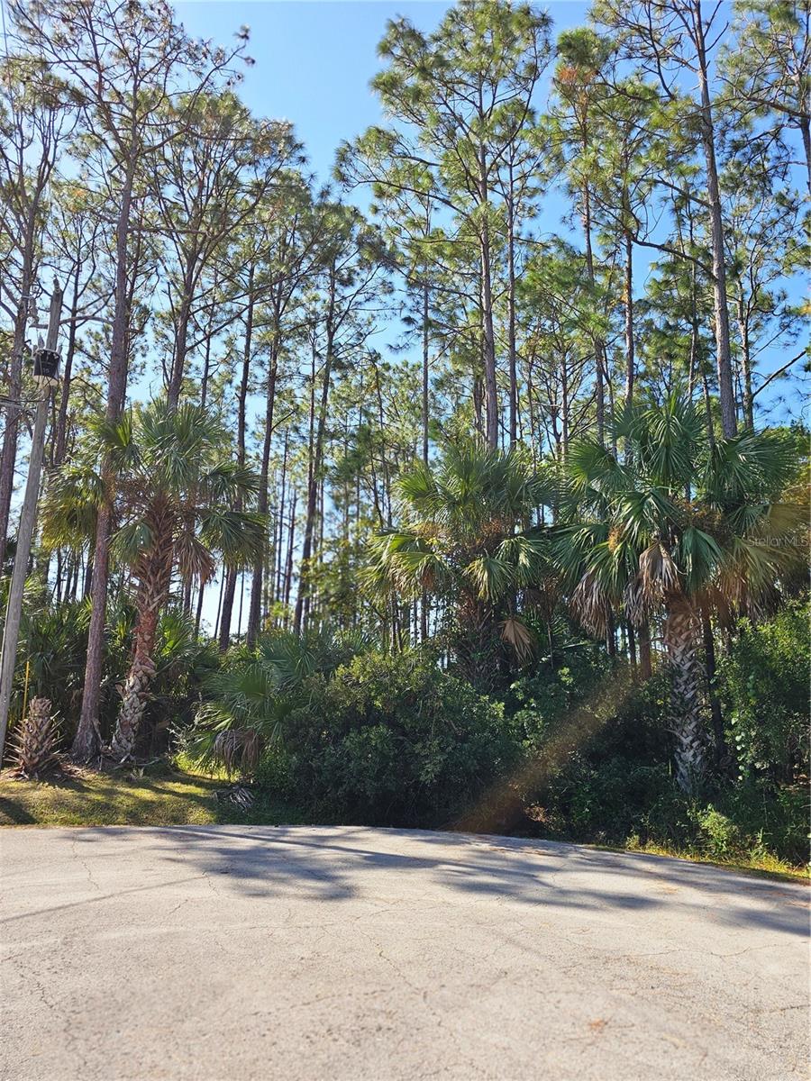 Details for 12 Ramsgate Place, PALM COAST, FL 32164