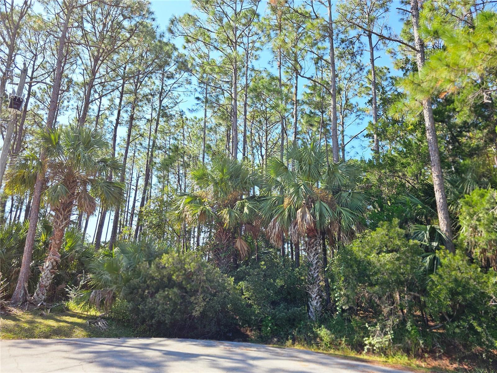 Image 2 of 2 For 12 Ramsgate Place
