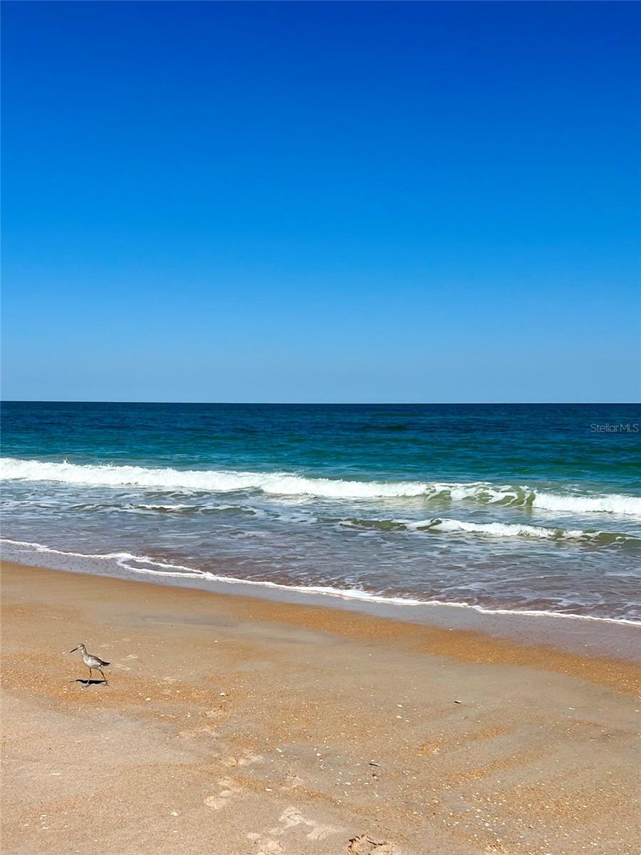 Image 45 of 45 For 323 10th Street