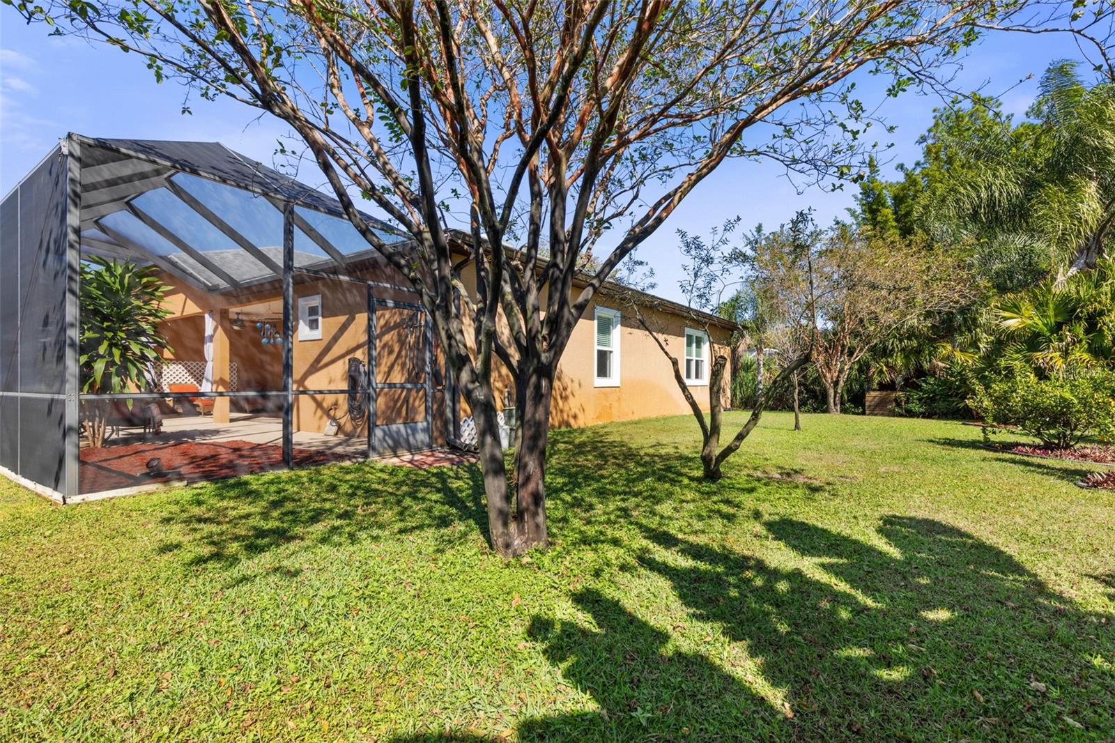 Image 45 of 57 For 46 Boxwood  