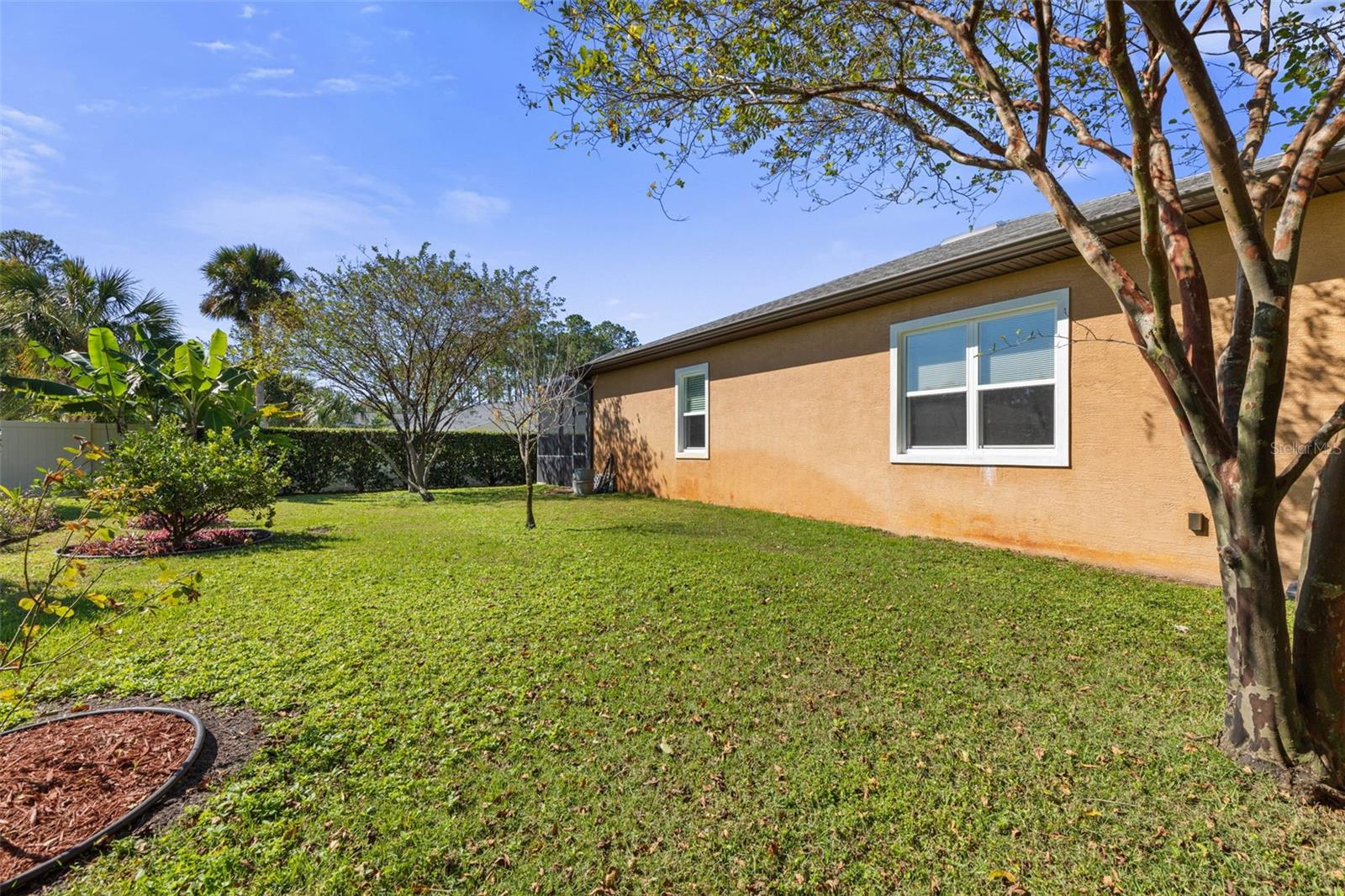 Image 46 of 57 For 46 Boxwood  