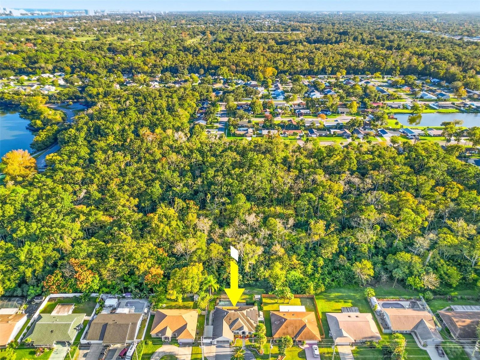 Image 83 of 93 For 646 Hand Avenue