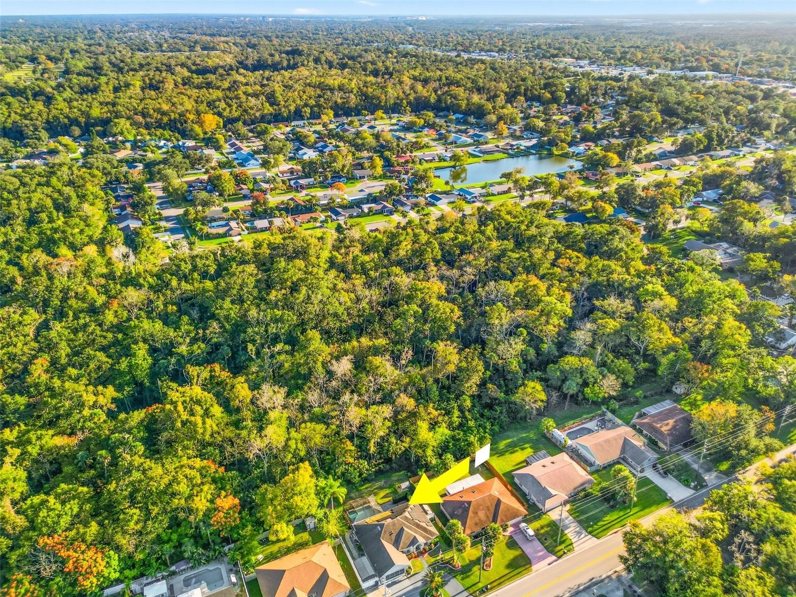 Image 84 of 93 For 646 Hand Avenue