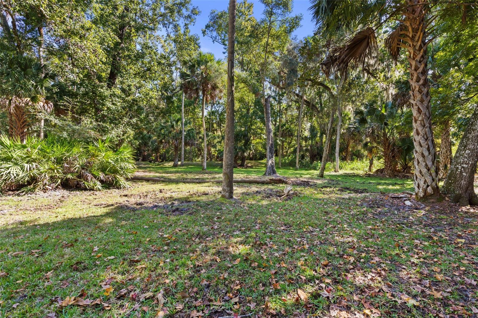 Image 61 of 82 For 40 Whitehall Court