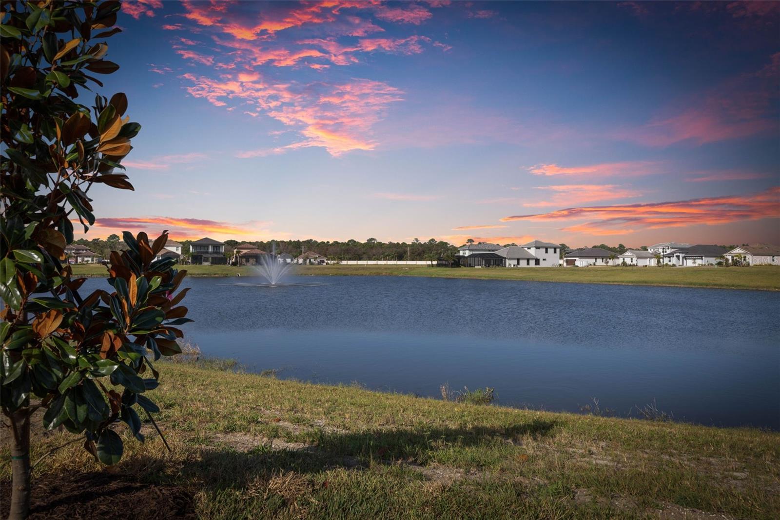 Image 83 of 83 For 77 Del Palma Drive