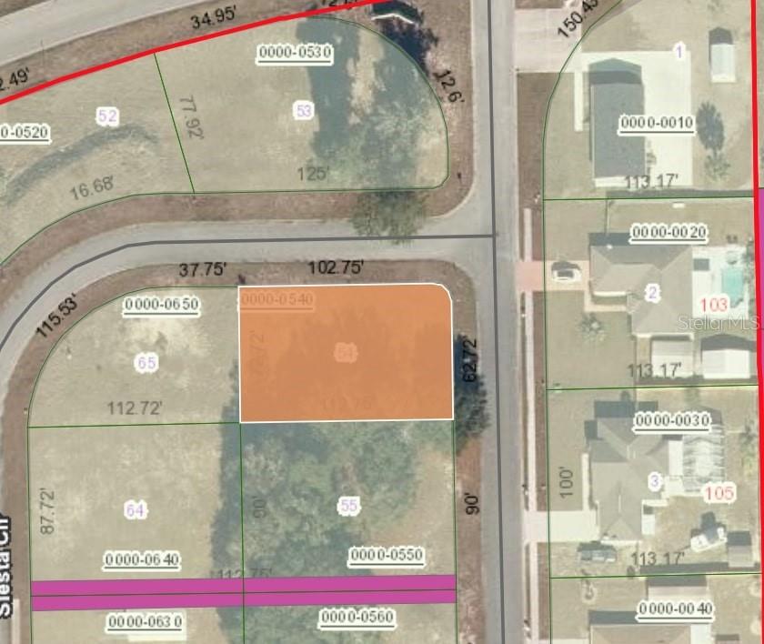 Details for 104 Village Drive, WELAKA, FL 32193