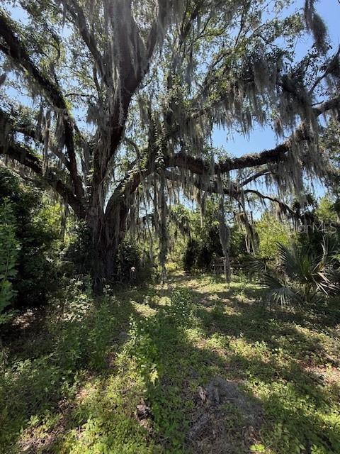 Image 3 of 5 For 17918 Us Highway 301