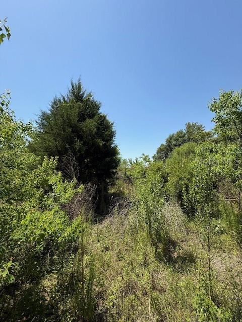 Image 5 of 5 For 17918 Us Highway 301